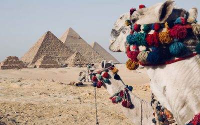 Sphinx-tastic DIY Pyramid: 1M Steps to Success!